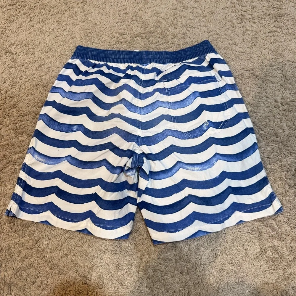 Chubbies Swim Shorts Mens Small Blue Wave Stripe Mesh Lined Quick Dry Trunks